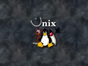 компилятор gсс, POSIX, linux, unix